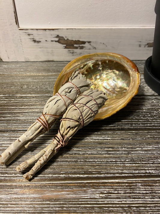 Smudge Set - California White Sage Mini Torch and Abalone Shell Set