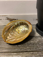 Abalone Shell ONLY (Sage Not Included)